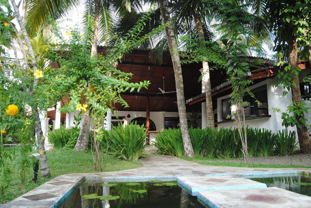 Paradise Garden Unawatuna Exterior photo